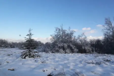 Canneberge, Maison de vacances Quaint à Elsenborn près de la forêt - Photo 30