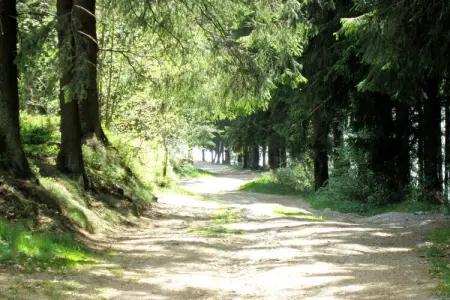 Chalet Orange, Chalet cosy avec sauna à Büllingen près du lac - Photo 25