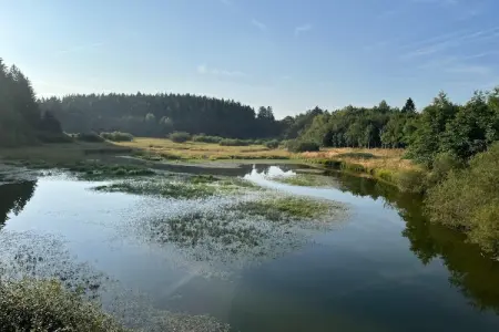 Chalet Orange, Chalet cosy avec sauna à Büllingen près du lac - Photo 29