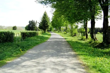 Chalet Orange, Chalet cosy avec sauna à Büllingen près du lac - Photo 37