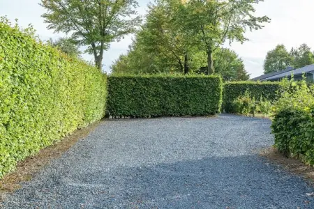 Chalet Vert, Bungalow luxueux à Bullange avec jacuzzi - Photo 7