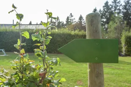 Chalet Vert, Bungalow luxueux à Bullange avec jacuzzi - Photo 28