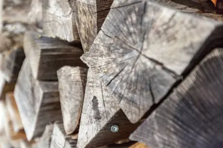 Chalet Vert, Bungalow luxueux à Bullange avec jacuzzi - Photo 29