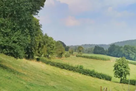 Amel 1 en 2, Belle maison de vacances à Heppenbach avec jardin - Photo 30