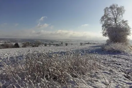 Amel 1 en 2, Belle maison de vacances à Heppenbach avec jardin - Photo 39