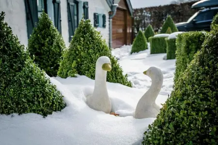 Les Oies, Maison de vacances chic avec sauna à Bütgenbach, proche lac - Photo 36