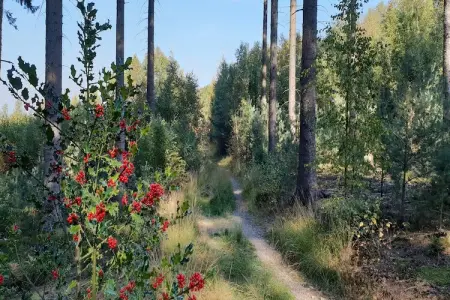 Le Dragon, Chalet luxueux avec jardin privé à Limbourg - Photo 28