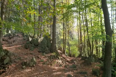 Le Dragon, Chalet luxueux avec jardin privé à Limbourg - Photo 30