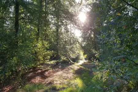 Le Dragon, Chalet luxueux avec jardin privé à Limbourg - Photo 34