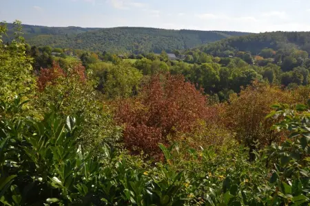 Auberge de Halinsart, Luxueuse maison de vacances équipée d'un jacuzzi à Trooz - Photo 37