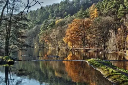 Villa Balmoral 22, Maison de vacances de luxe à Balmoral avec jacuzzi - Photo 30