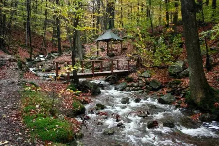 Villa Balmoral 22, Maison de vacances de luxe à Balmoral avec jacuzzi - Photo 33