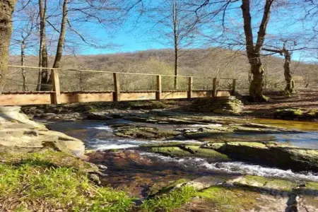Villa Balmoral 22, Maison de vacances de luxe à Balmoral avec jacuzzi - Photo 34