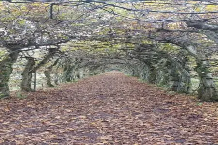 Villa Balmoral 22, Maison de vacances de luxe à Balmoral avec jacuzzi - Photo 35