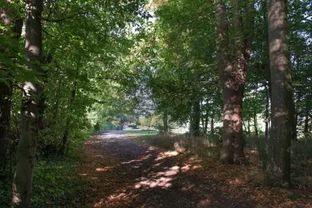 Chateau de Jevoumont, Vieux château à Theux avec piscine privée et belle vue - Photo 38