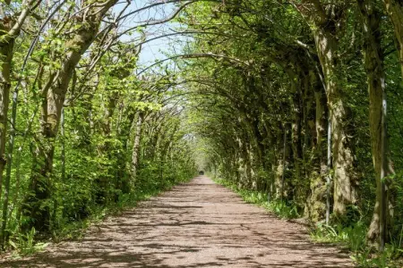 Vert Buisson, Ancienne grange confortable à Theux avec piscine et jacuzzi - Photo 32