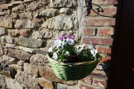 Gite Ol Coulée, Superbe maison de vacances avec sauna à Ovifat - Photo 20