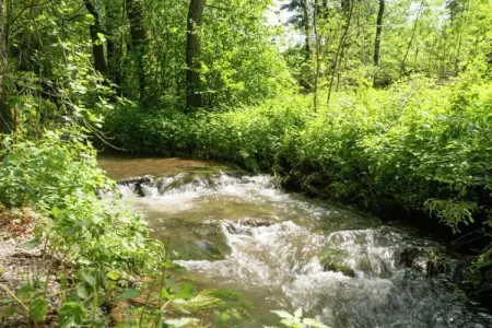 Koetshuis Loft, Luxueuse demeure à Robertville près de la forêt - Photo 23