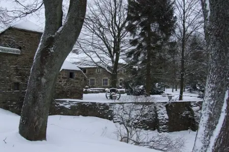 Koetshuis Loft, Luxueuse demeure à Robertville près de la forêt - Photo 35