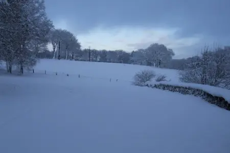Koetshuis Loft, Luxueuse demeure à Robertville près de la forêt - Photo 39