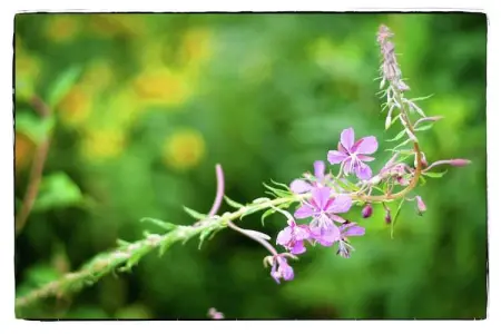 Koetshuis Appartement, Demeure moderne proche lac à Robertville - Photo 21