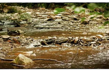 Koetshuis Appartement, Demeure moderne proche lac à Robertville - Photo 30