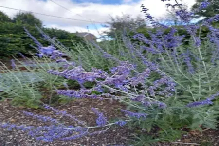 Koetshuis Appartement, Demeure moderne proche lac à Robertville - Photo 33