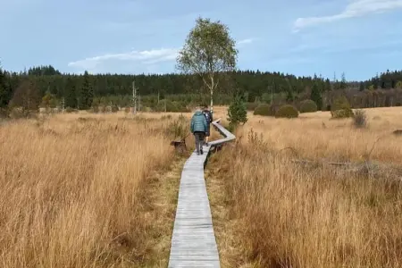 Koetshuis Appartement, Demeure moderne proche lac à Robertville - Photo 37