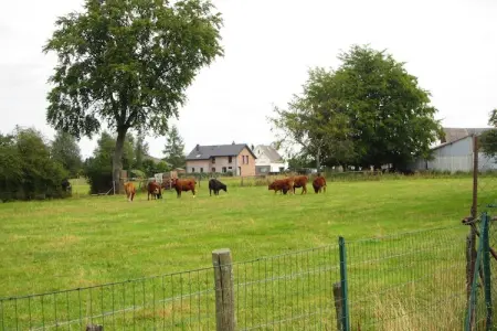 Entre Fagnes et Lac, Maison de vacances avec jardin moderne à Robertville - Photo 15