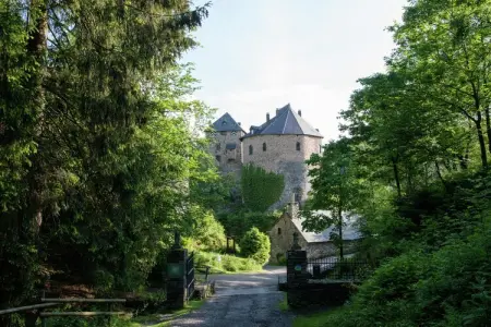 La Coupe de Champagne, Luxueuse maison de vacances avec piscine privée à Waimes - Photo 54