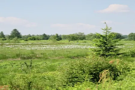 Outrewarchenne, Maison cosy avec piscine, sauna et jacuzzi à Libômont - Photo 37