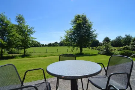 Le Milan Royal, Charmante maison de vacances en pierre avec jardin, barbecue couvert, bar et sauna à Robertville - Photo 33