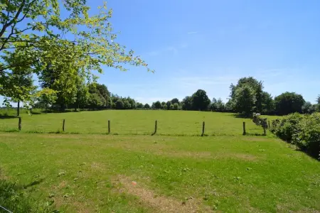 Le Milan Royal, Charmante maison de vacances en pierre avec jardin, barbecue couvert, bar et sauna à Robertville - Photo 34