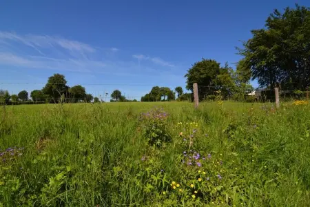 Le Milan Royal, Charmante maison de vacances en pierre avec jardin, barbecue couvert, bar et sauna à Robertville - Photo 35