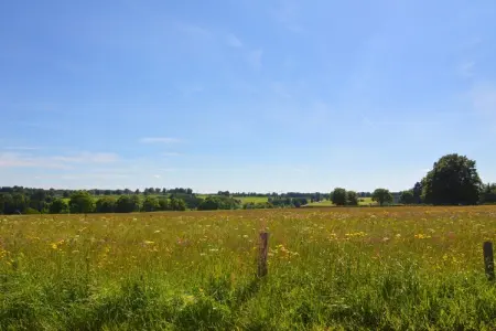Le Milan Royal, Charmante maison de vacances en pierre avec jardin, barbecue couvert, bar et sauna à Robertville - Photo 36