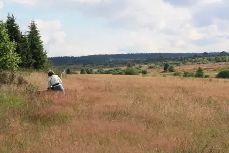 Le Jeu de L'Oie, Villa luxueuse avec sauna à Robertville - Photo 47