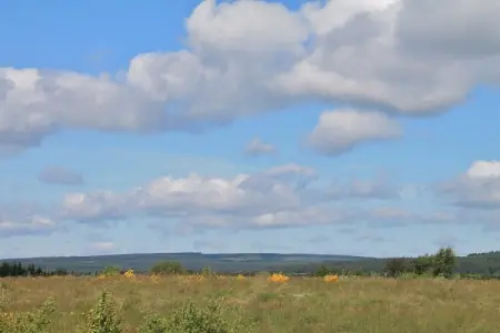 Le Jeu de L'Oie, Villa luxueuse avec sauna à Robertville - Photo 52