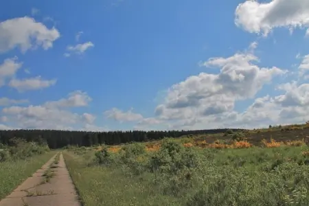Le Jeu de L'Oie, Villa luxueuse avec sauna à Robertville - Photo 53