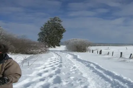 Le Jeu de L'Oie, Villa luxueuse avec sauna à Robertville - Photo 58