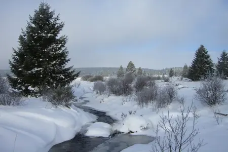 Le Jeu de L'Oie, Villa luxueuse avec sauna à Robertville - Photo 59