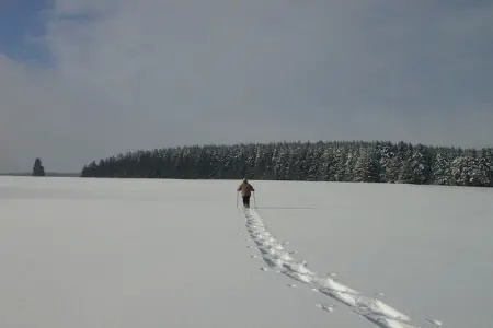 Le Jeu de L'Oie, Villa luxueuse avec sauna à Robertville - Photo 60