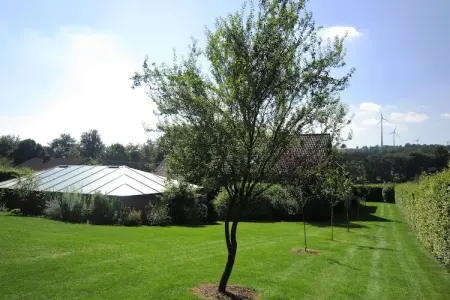 Antolay, Belle maison de vacances avec piscine privée à Waimes - Photo 23