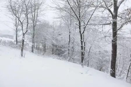 Balcon de Malmedy, Maison de vacances spacieuse avec sauna à Malmedy - Photo 38