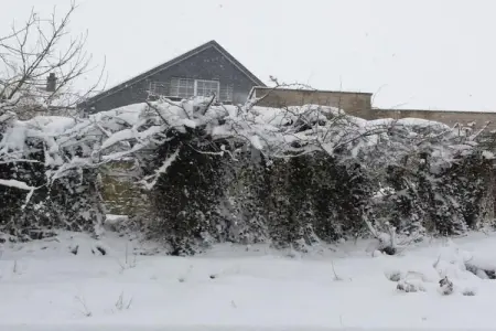 Balcon de Malmedy, Maison de vacances spacieuse avec sauna à Malmedy - Photo 39