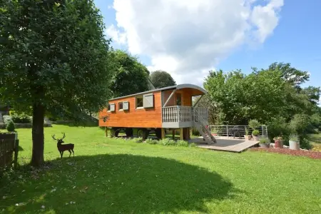 Manureva, Maison de vacances avec sauna dans les Ardennes proche forêt - Photo 9
