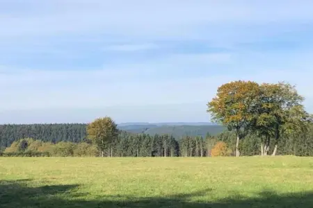 Manureva, Maison de vacances avec sauna dans les Ardennes proche forêt - Photo 27