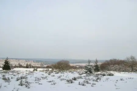 Cligneval, Chalet contemporain à Malmedy près de la forêt - Photo 30