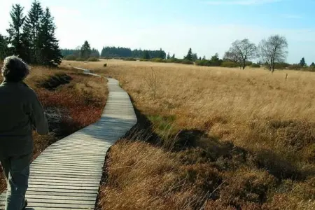 Cligneval, Chalet contemporain à Malmedy près de la forêt - Photo 34