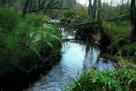 Cligneval, Chalet contemporain à Malmedy près de la forêt - Photo 35