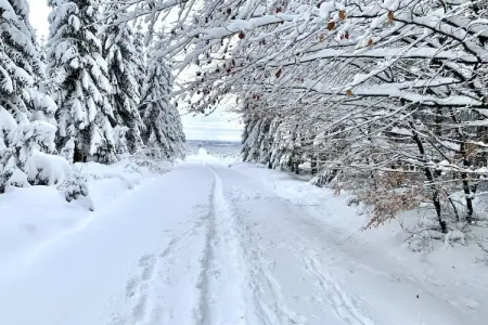 Hautes Fagnes, Magnifique chalet près de la forêt à Malmedy - Photo 35